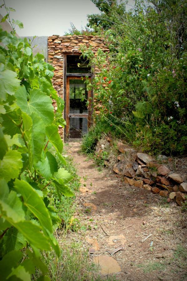 Bethany Farm Twee Riviere Екстер'єр фото